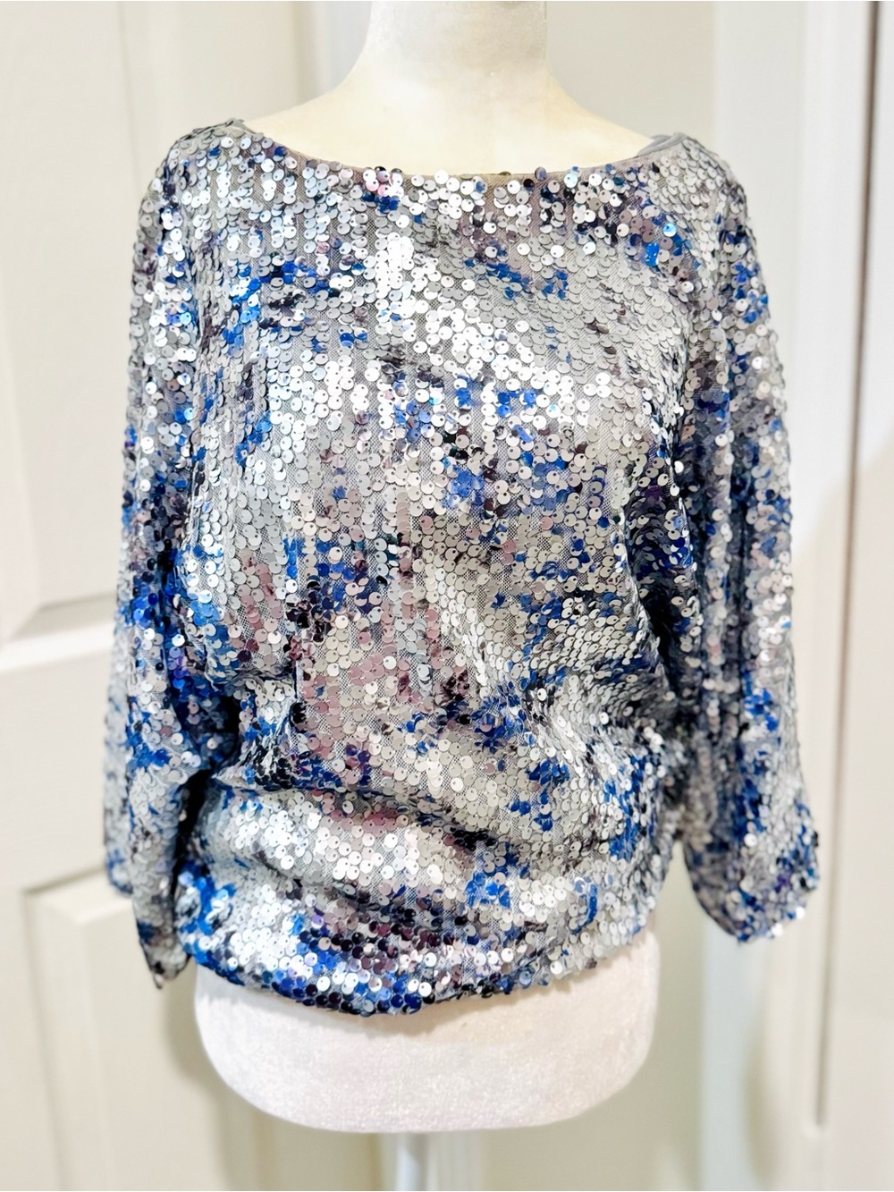 Alberto Makali Silver Sequin Top with Blue Accents